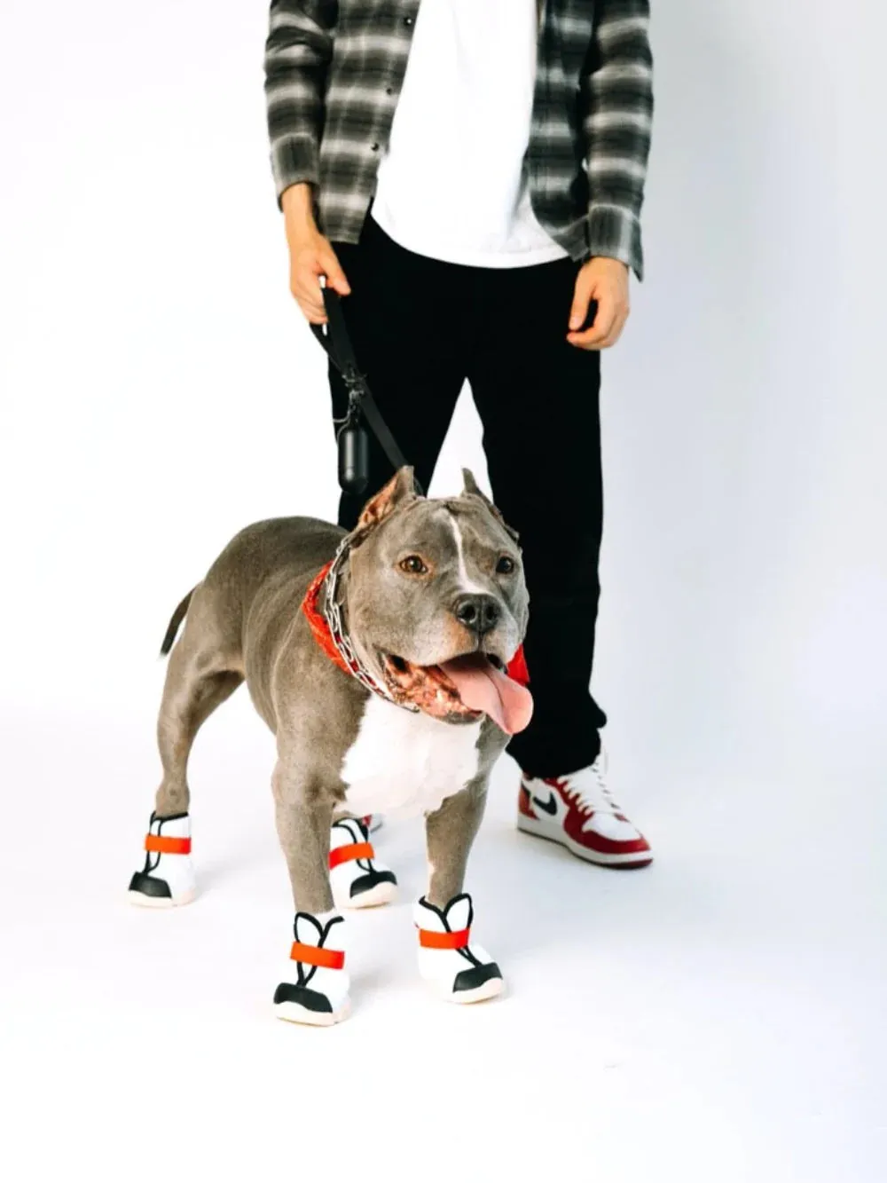 Caesar 1S Dog Sneaker (1 pair of 2 shoes)