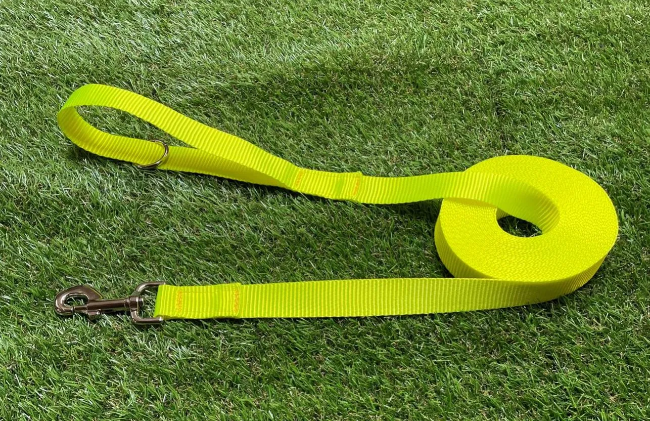 Dog Training Lead 25mm Heavy Webbing 5ft - 30ft Long Line Tracking Recall In 20 Colours