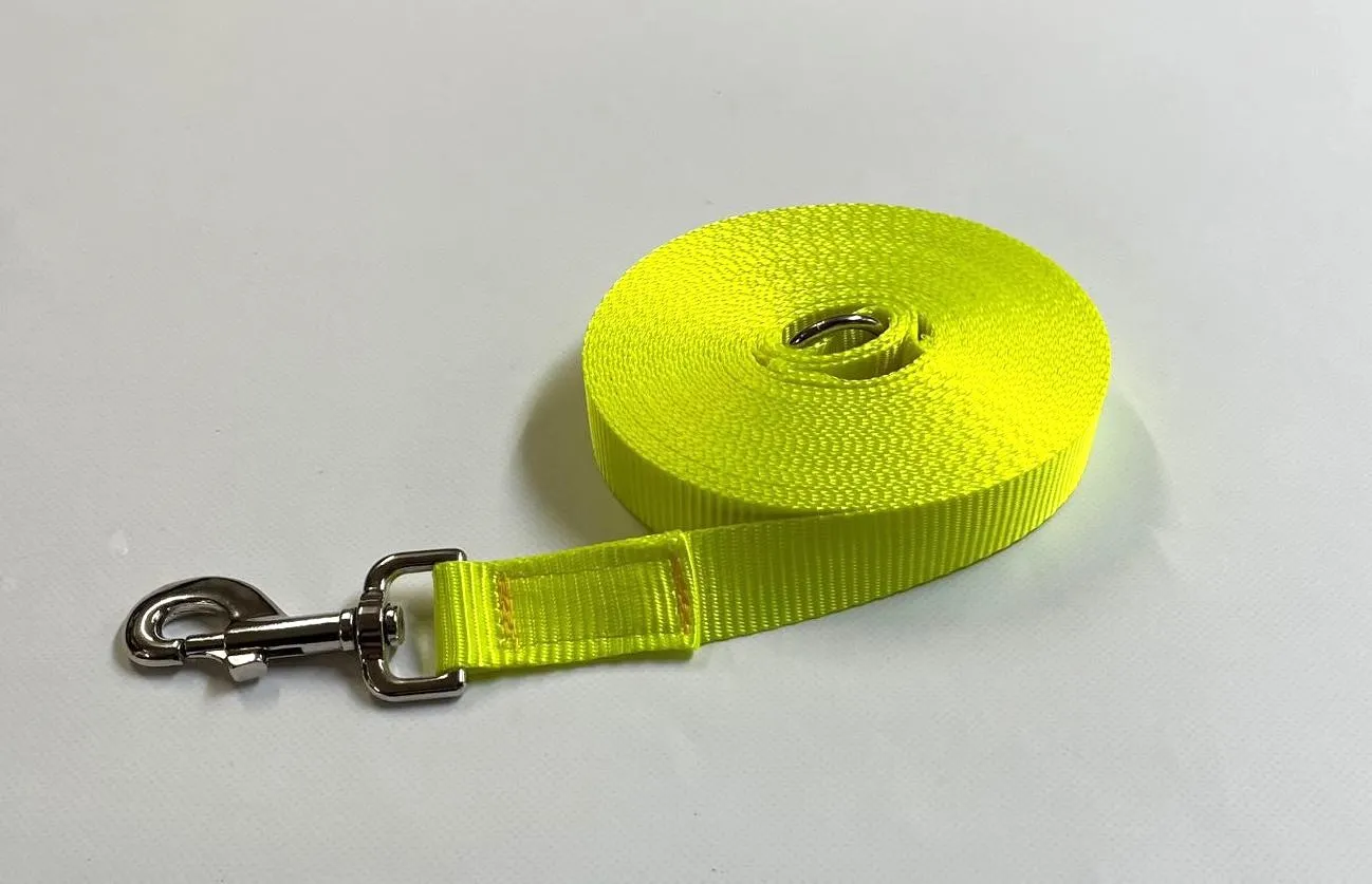 Dog Training Lead 25mm Heavy Webbing 5ft - 30ft Long Line Tracking Recall In 20 Colours