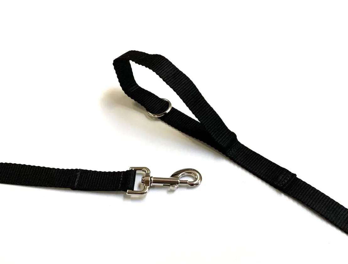 Dog Training Lead 25mm Heavy Webbing 5ft - 30ft Long Line Tracking Recall In 20 Colours