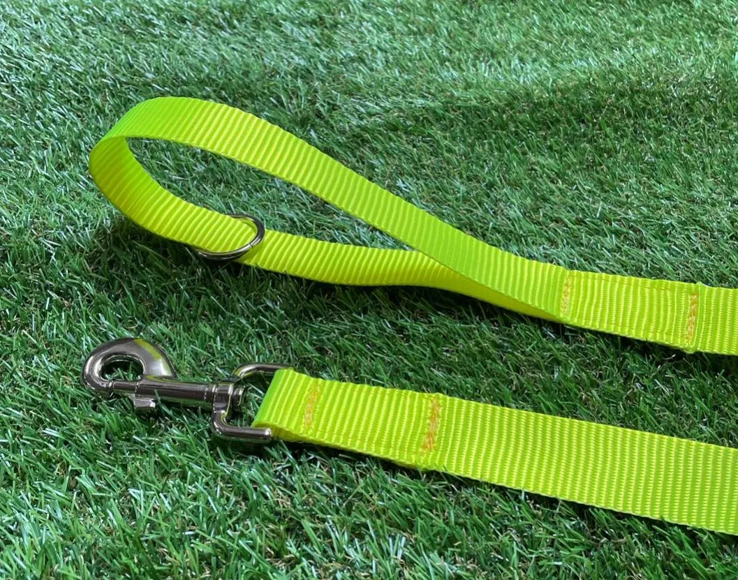 Dog Training Lead 25mm Heavy Webbing 5ft - 30ft Long Line Tracking Recall In 20 Colours