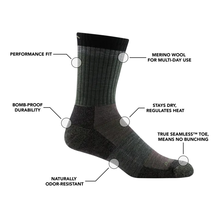 Men's Heady Stripe Micro Crew Lightweight Hiking Sock