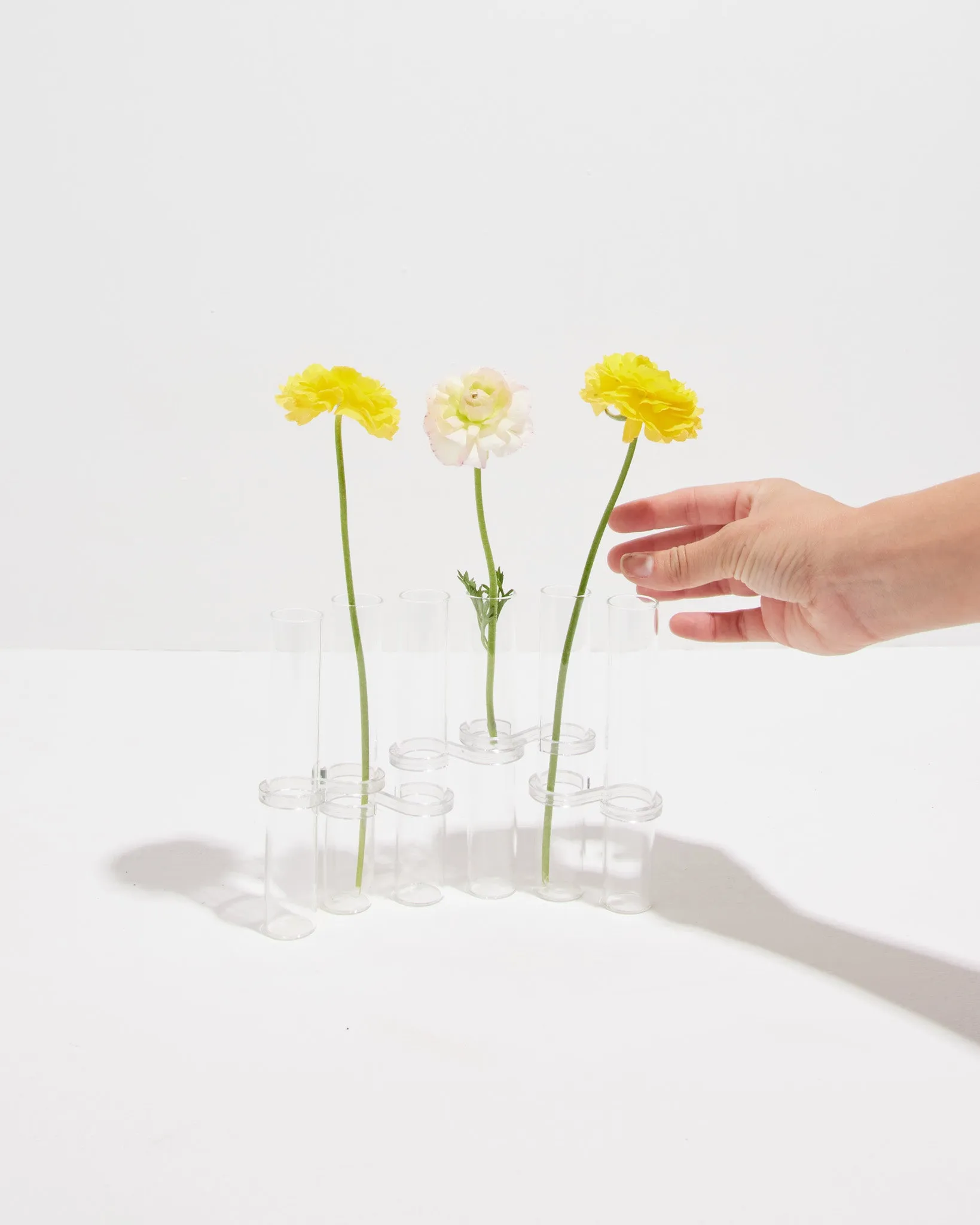 Minimalist Vase & Propagation Tubes