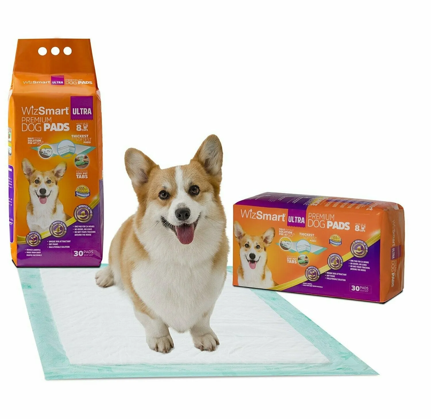 WizSmart Puppy Training Pee Pads 24" x 24" 30 Count